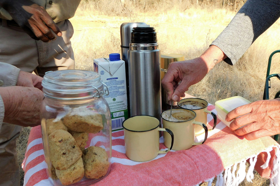 Why Insulated Drinkware and Coolers Are Essential for Every Adventure