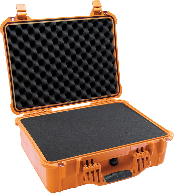 1520 Protector Case